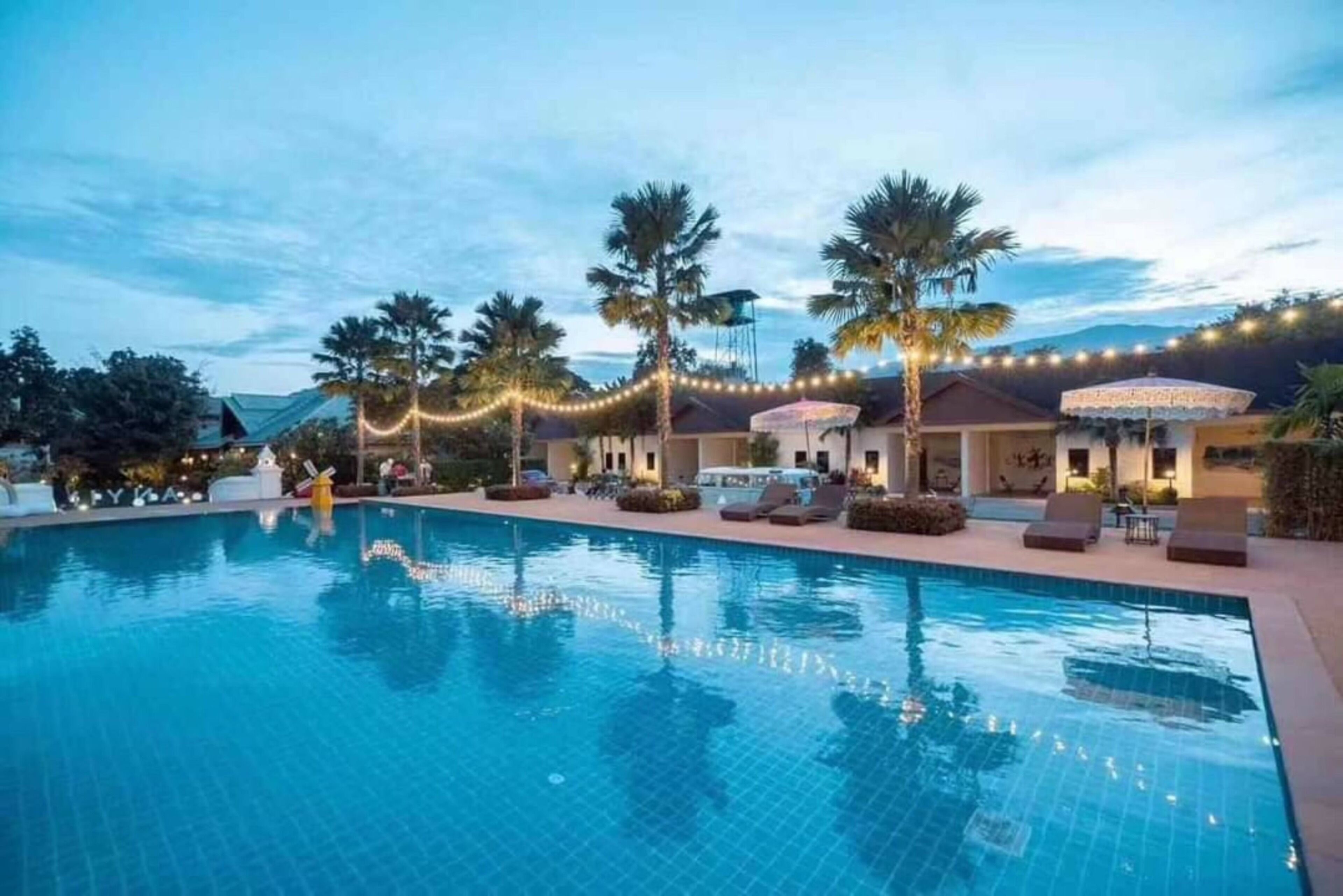 Outdoor pool, sun loungers