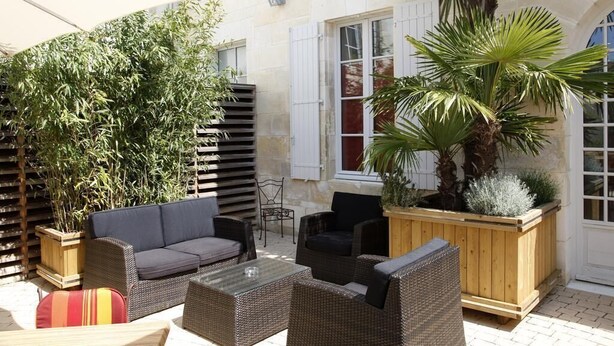 An outdoor seating area with wicker furniture, a palm tree, and a wooden planter with plants. - Le Lion D'or (Gémozac)