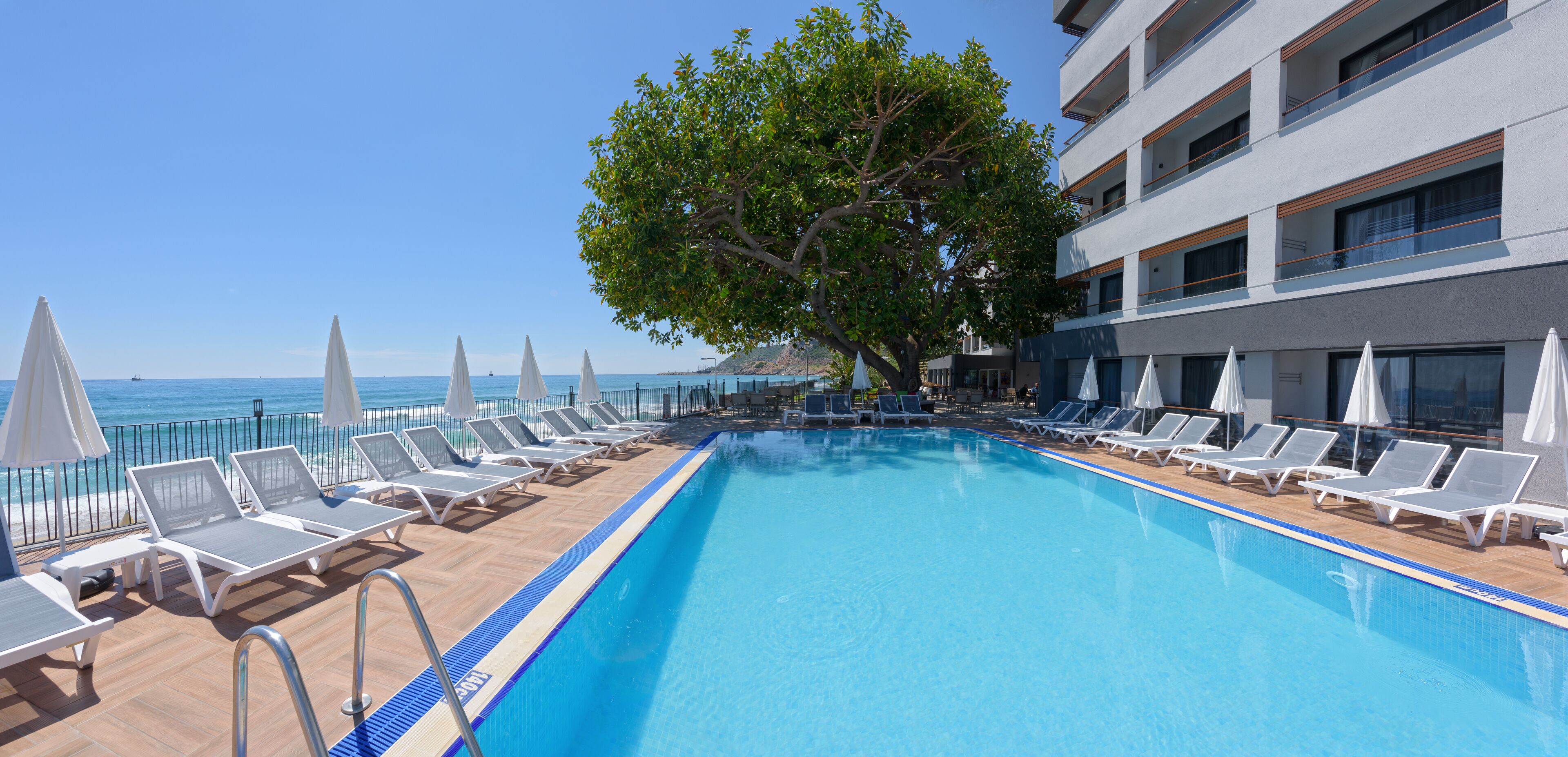 Ein Poolbereich mit Liegestühlen und Sonnenschirmen, ein großer Baum und Blick auf das Meer.