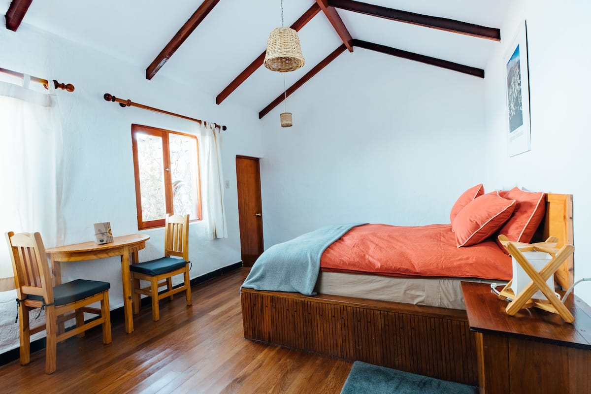 Habitación estándar doble, 1 cama de matrimonio grande | Tabla de planchar con plancha y decoración individual