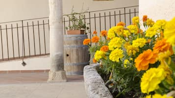 Property amenity