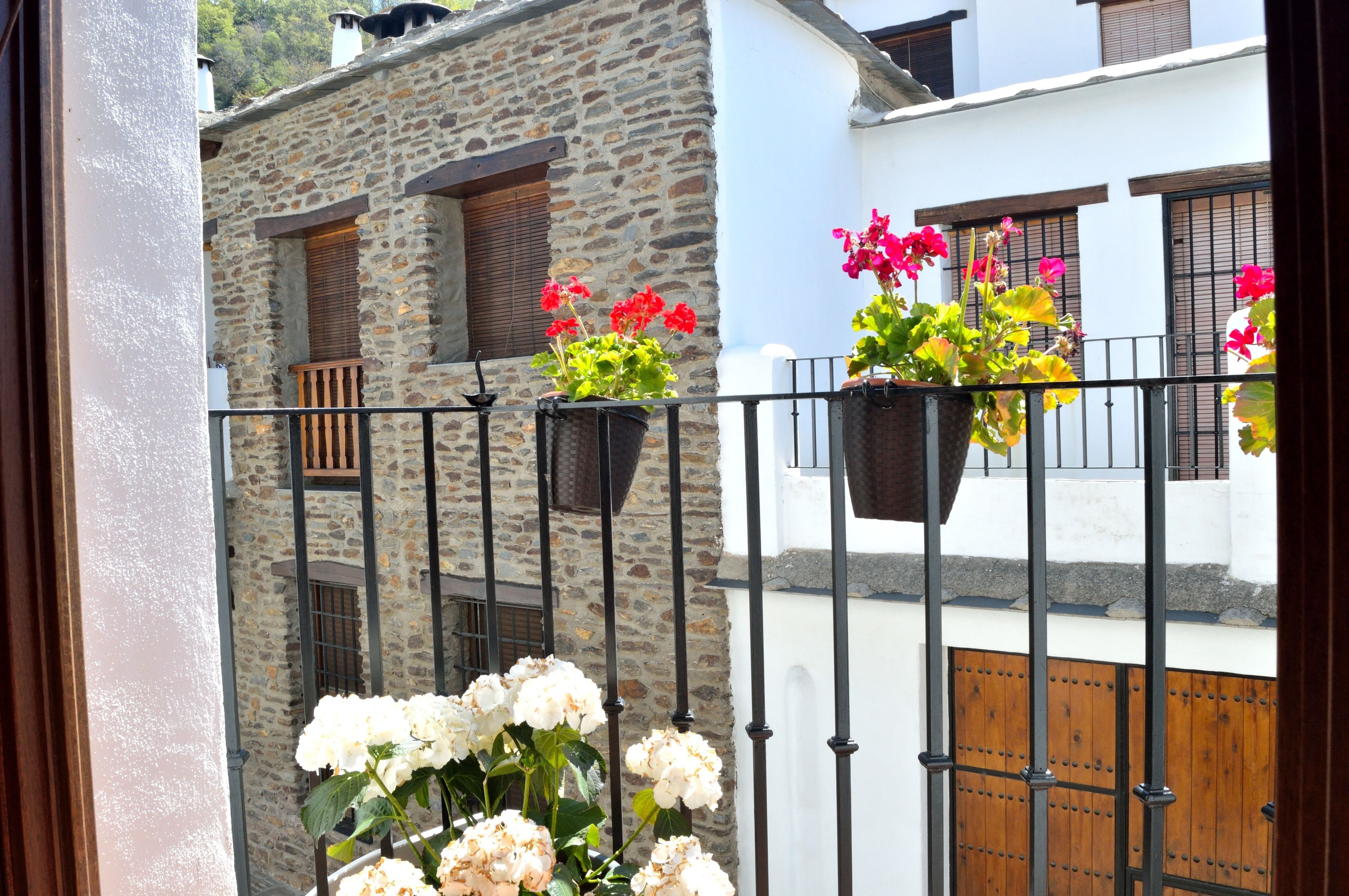 Foto - Hotel Rural Alfajía de Antonio