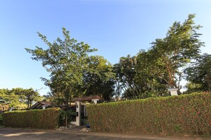 A residential area with a house, a metal gate, and a hedge with red flowers.