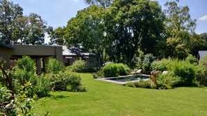A modern house with a swimming pool surrounded by lush greenery and trees. - Sand River Guest House (Sandton)