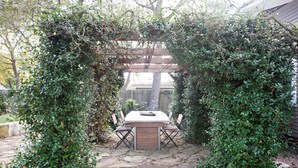 Unclassified image, 5 of 20, button - Ander Haus (Fredericksburg)