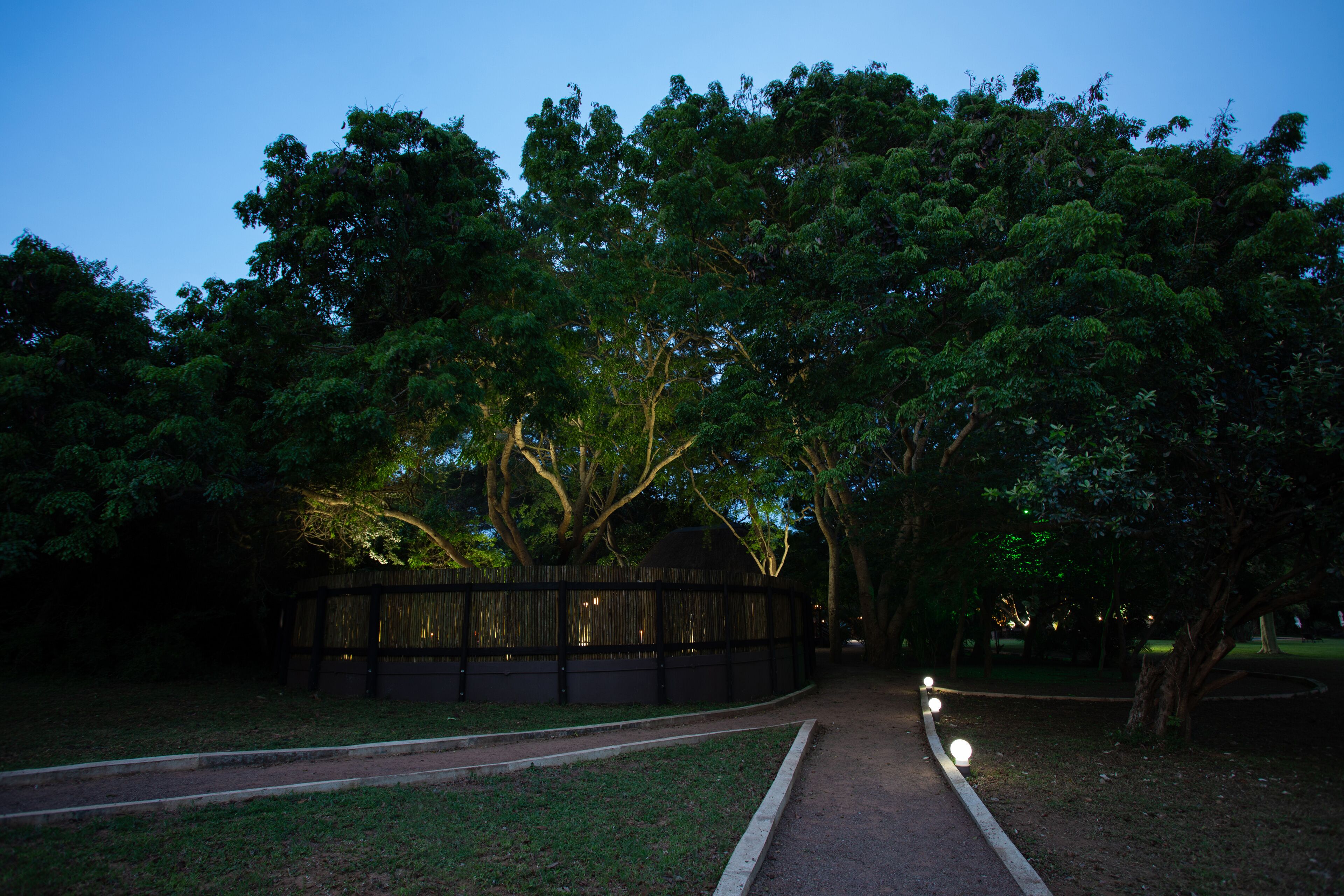 A pathway in a park with trees and a fence.