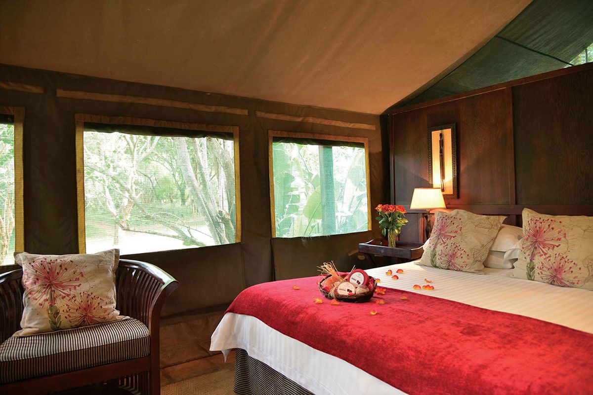 Habitación de hotel con una cama grande, una silla, una mesita de noche con lámpara y ventanas con vista a árboles.
