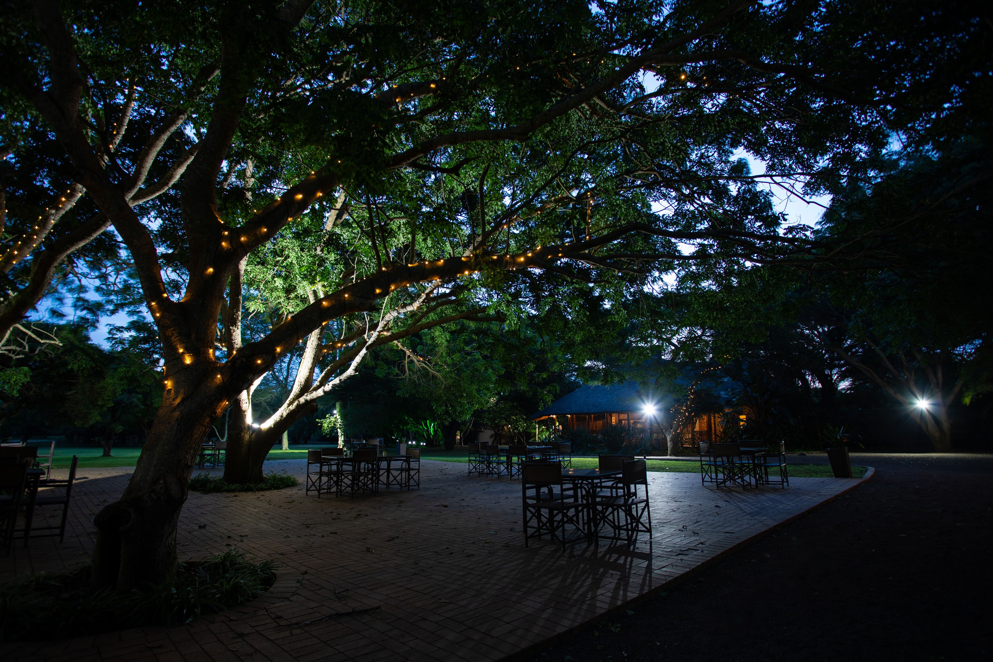 A paved outdoor area with tables and chairs under a tree, surrounded by greenery.