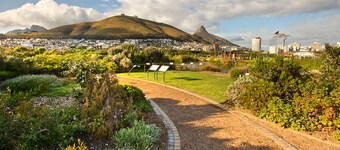 York Mews 14 by CTHA