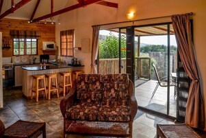 LCD TV, fireplace, DVD player