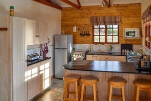 Full-size fridge, microwave, oven, stovetop