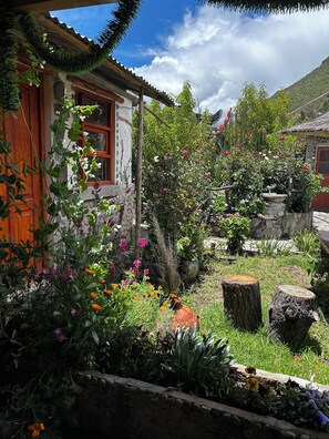 A rustic house with a garden featuring various plants and flowers.