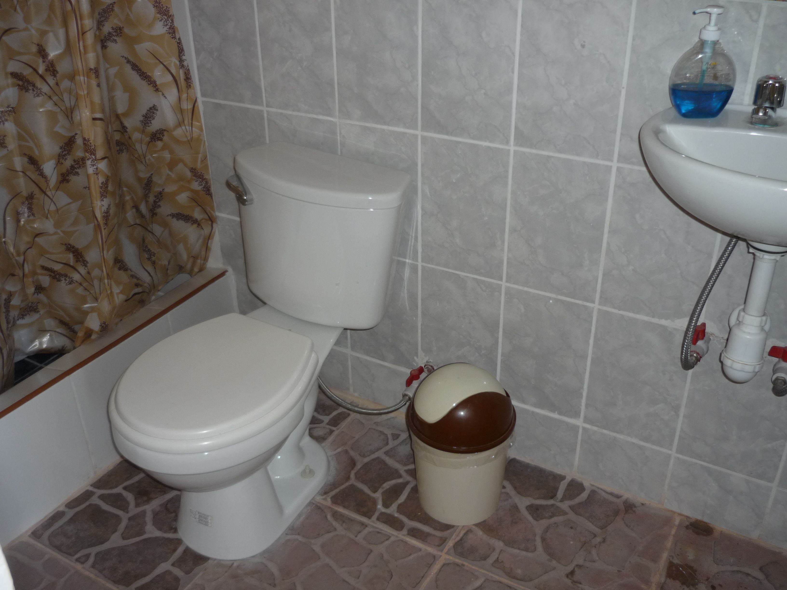Een badkamer met een toilet, een toiletbril en een wastafel.