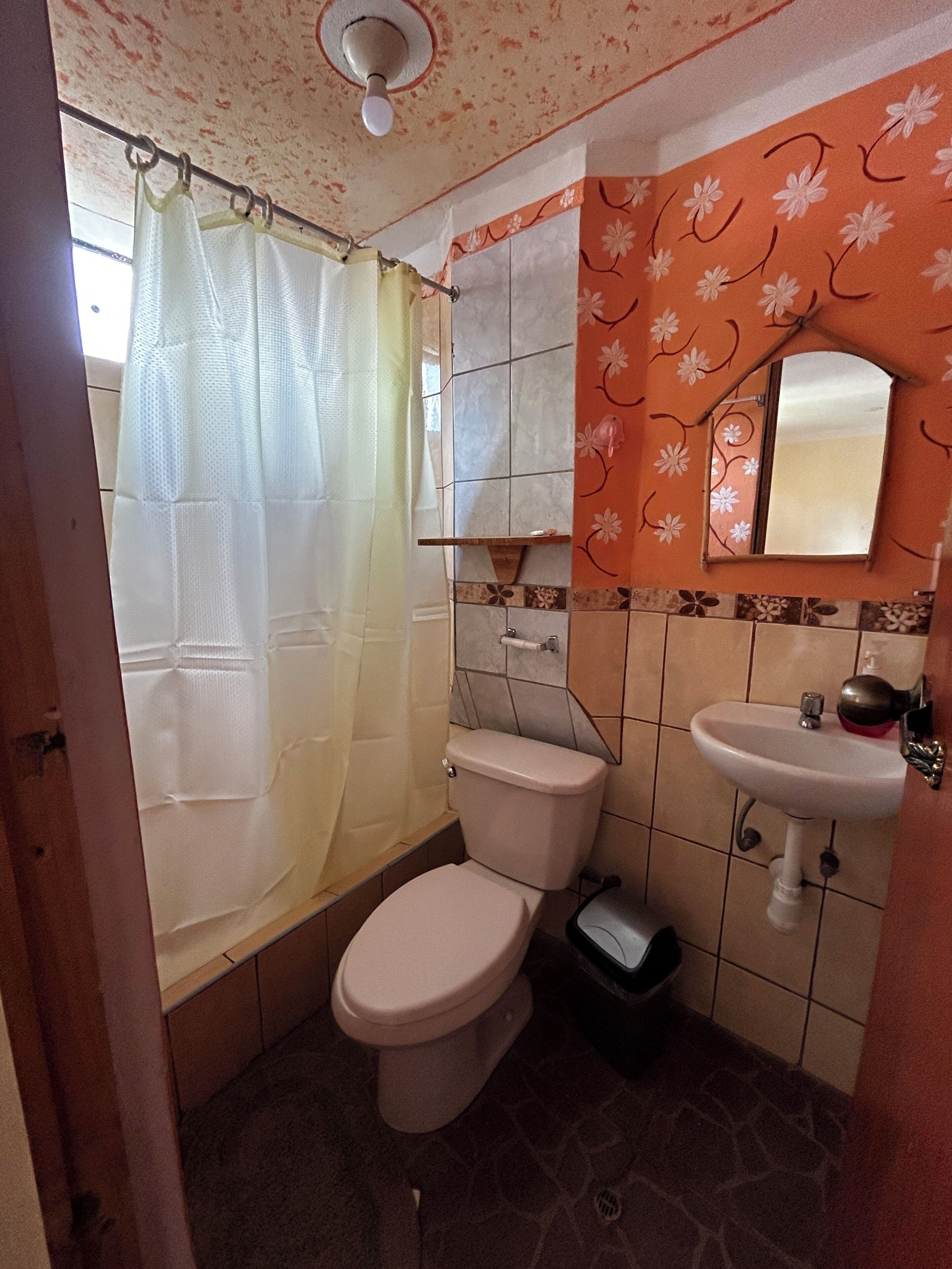A bathroom with a toilet, a sink, a shower curtain, and a mirror.