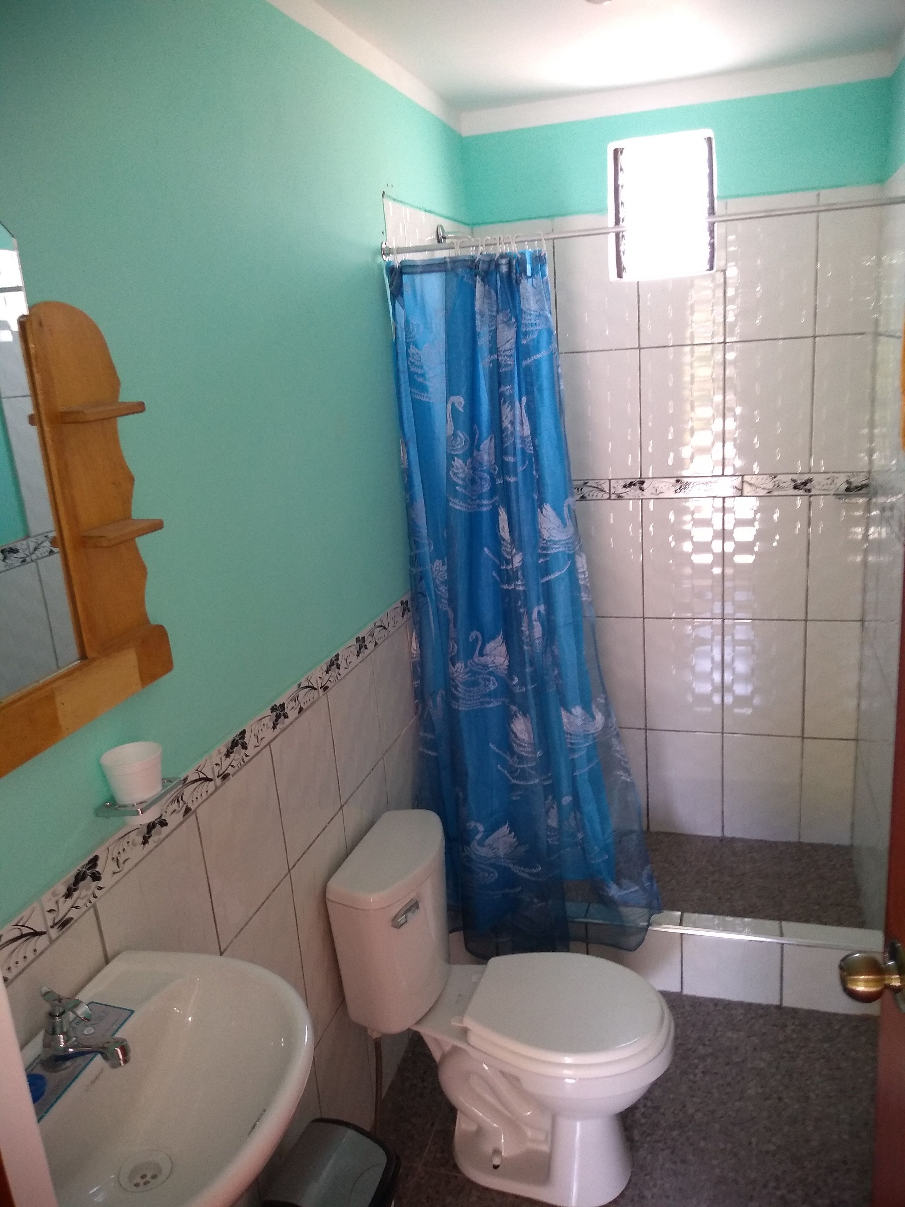 Un baño con inodoro, lavamanos y cortina de ducha.