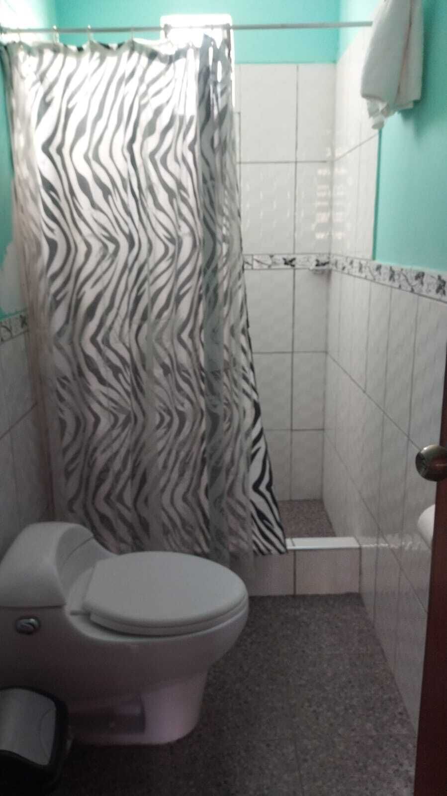 Un baño con cortina de ducha a rayas de cebra, inodoro blanco y paredes con azulejos.