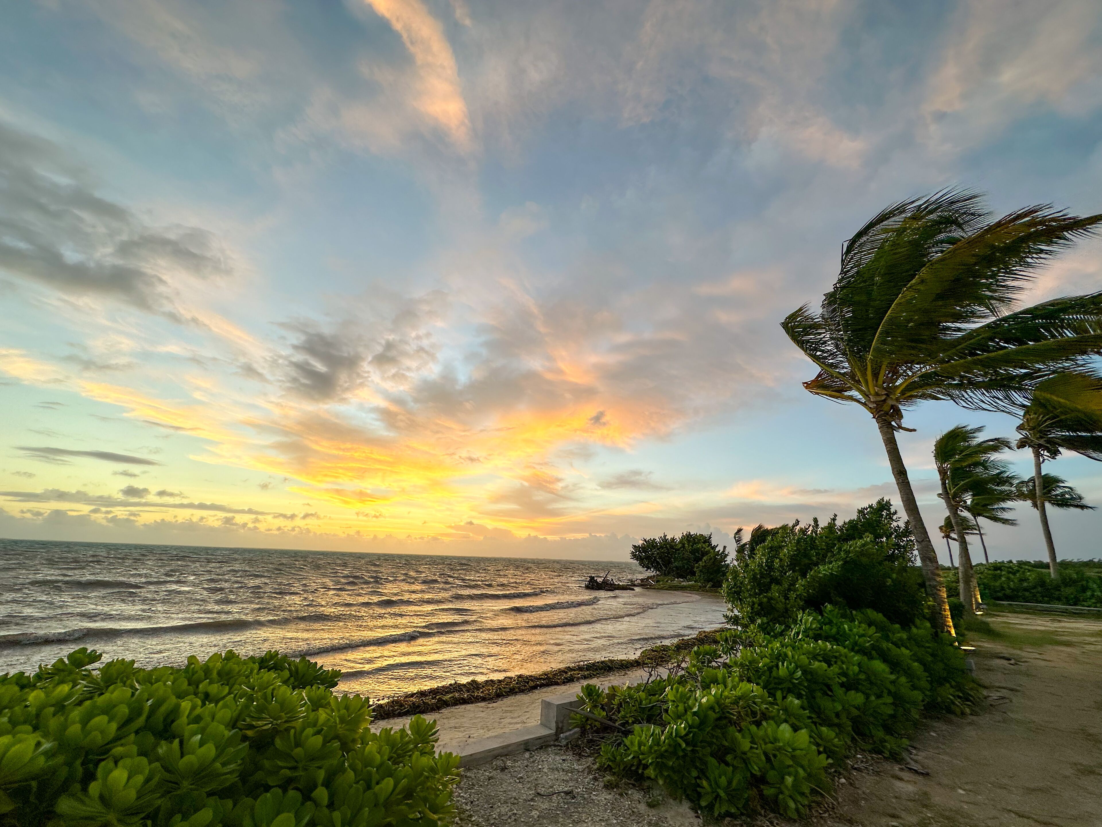 Una playa con palmeras y un atardecer.