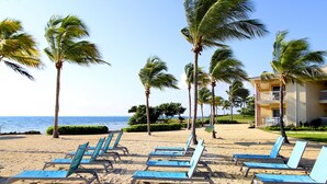 Una playa con hileras de sillas azules, palmeras y un edificio con balcón.