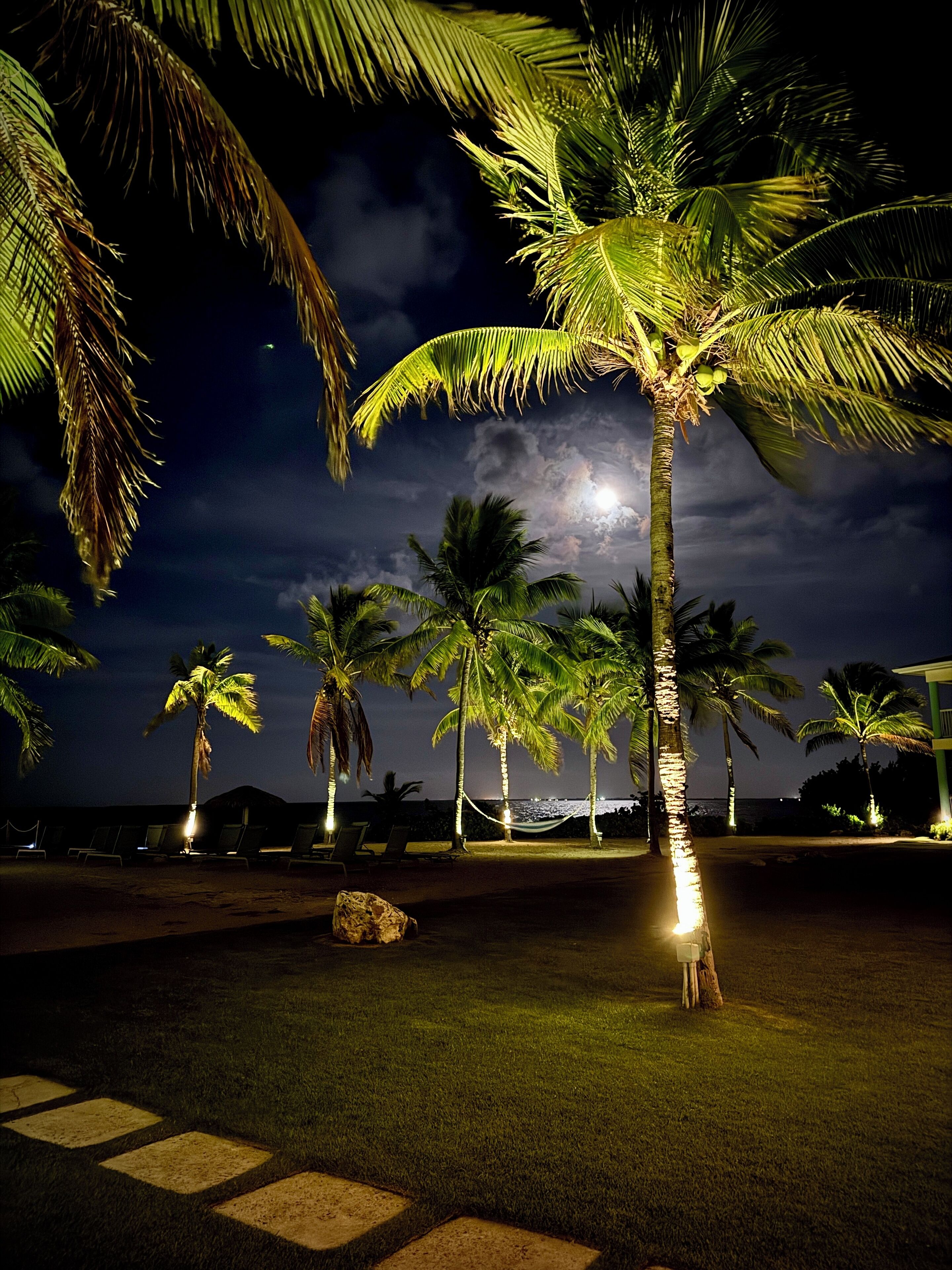 Vista nocturna de una playa con palmeras y una hamaca.