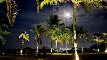 A nighttime view of a beach with palm trees and a hammock.