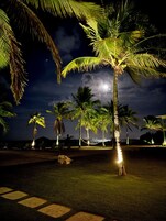 A nighttime view of a beach with palm trees and a hammock.