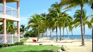 Un resort en la playa con palmeras, piscina y vista al océano.