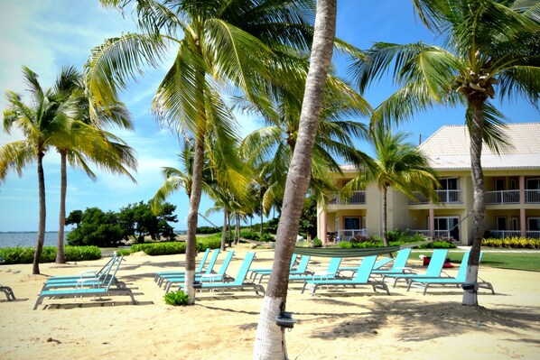 A beachside hotel with a pool area, palm trees, and a view of the ocean. - The Grand Caymanian Resort (West Bay)