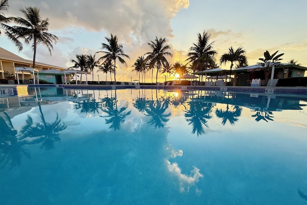 Outdoor pool, open 7:00 AM to 10:00 PM, pool umbrellas, pool loungers