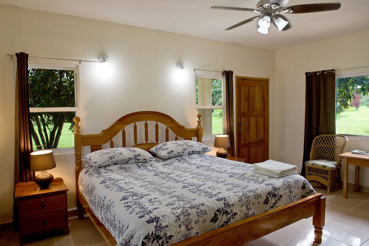 Ein Schlafzimmer mit einem Bett, einem Nachttisch, einem Sessel, einem Tisch und einem Deckenventilator.