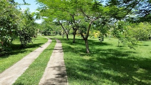 Un sendero de concreto en un parque con césped verde y árboles.