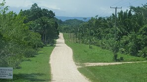 Una carretera rural bordeada de abundante vegetación y postes de electricidad. Un letrero a la izquierda indica "Farm Guest House Home of Little Bird Rescue 610-0400".