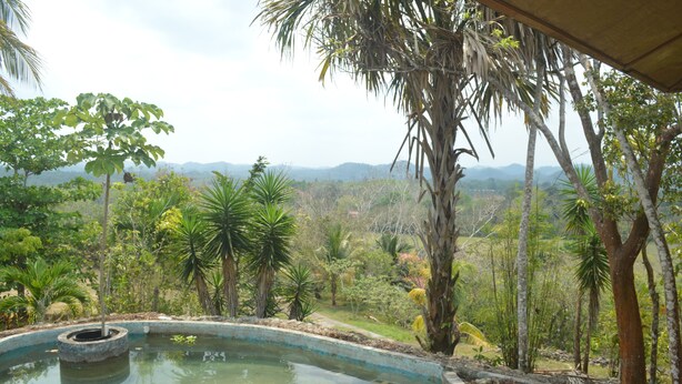 Una piscina rodeada de vegetación tropical y un paisaje montañoso.