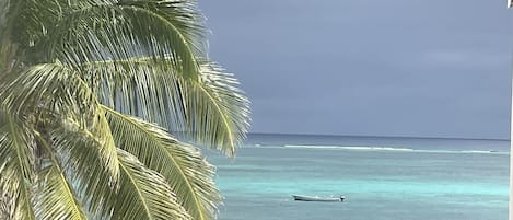 A view of a beach with a boat in the water, palm trees, and a clear sky.