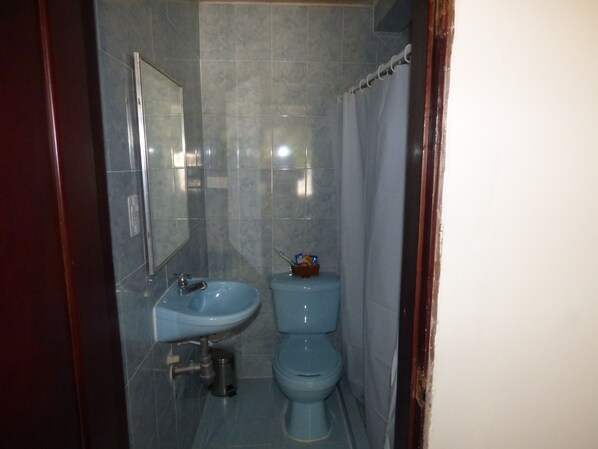A bathroom with a sink, toilet, and shower curtain.