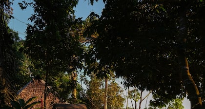 Ecolucerna Lodge Tambopata