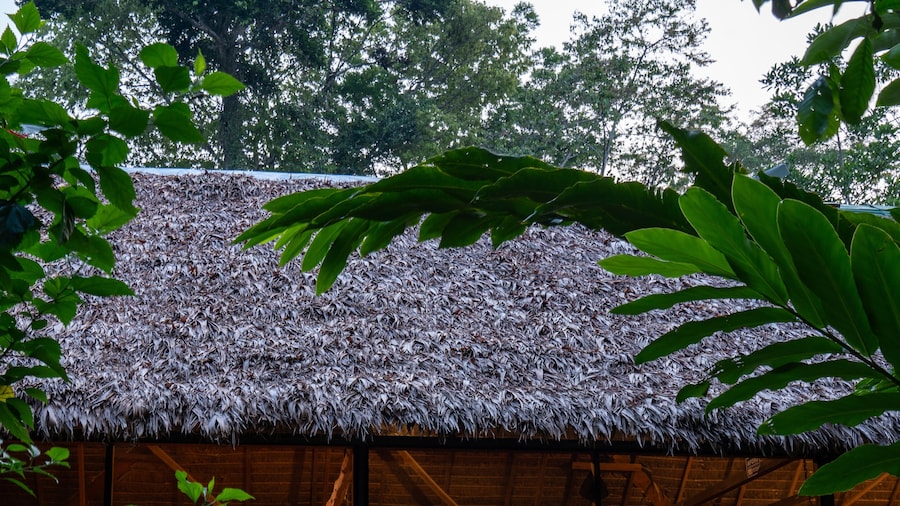 Ecolucerna Lodge Tambopata