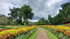 A pathway flanked by vibrant flower beds and lush greenery, leading towards a large tree and a mountain in the distance. - Hotel Gangaaddara (Kandy)