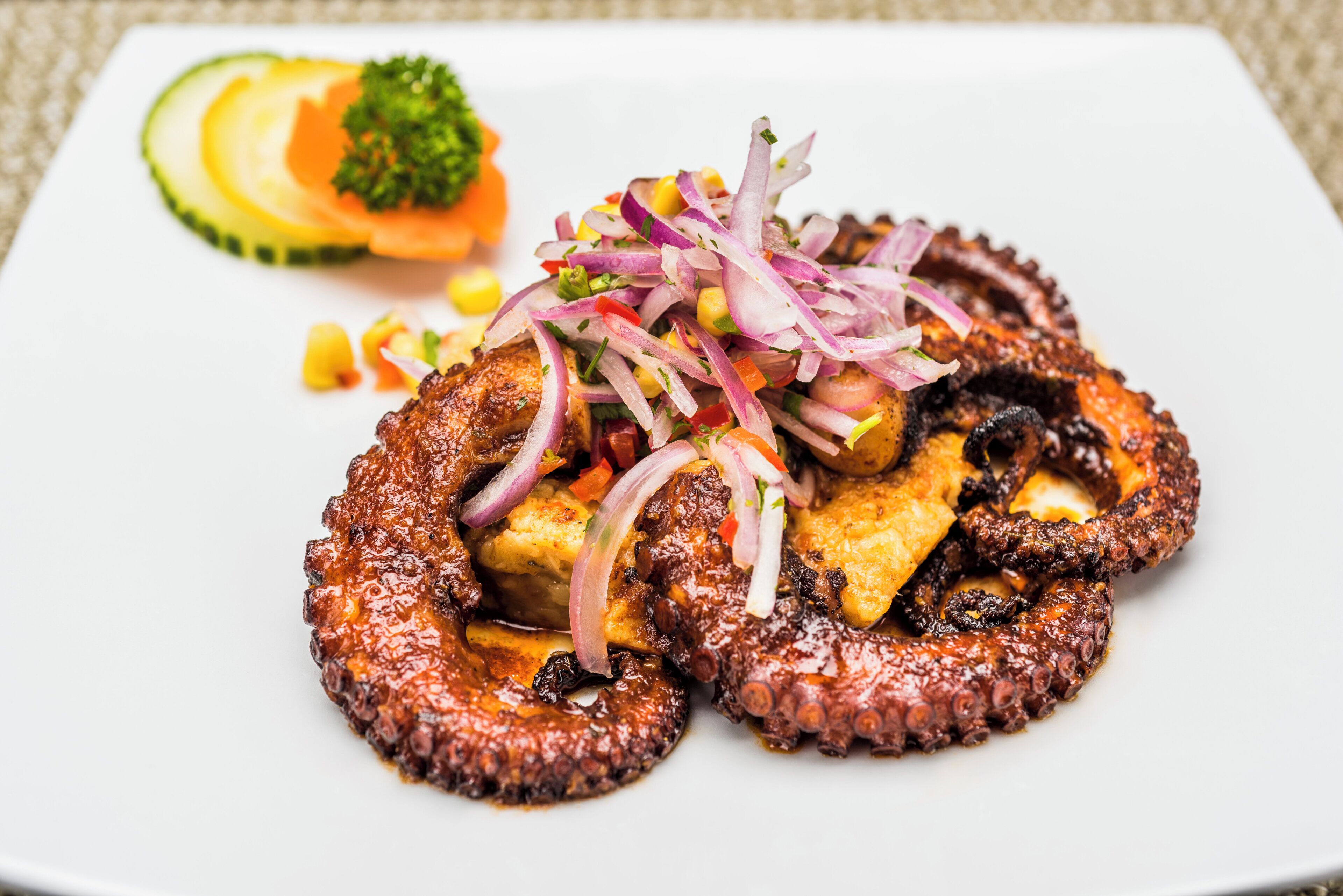 A plate of grilled octopus with a side salad.