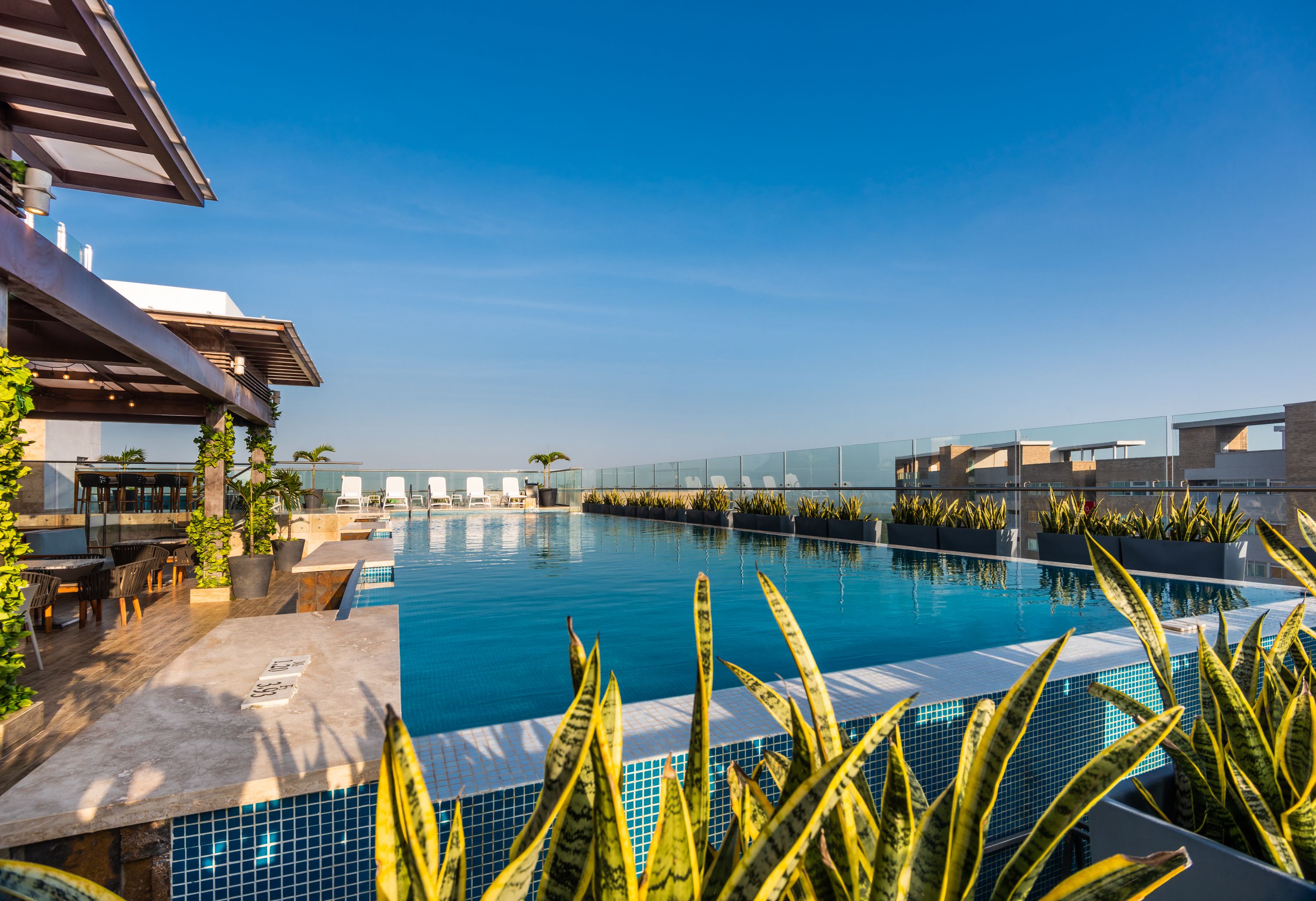 outdoor pool, pool loungers