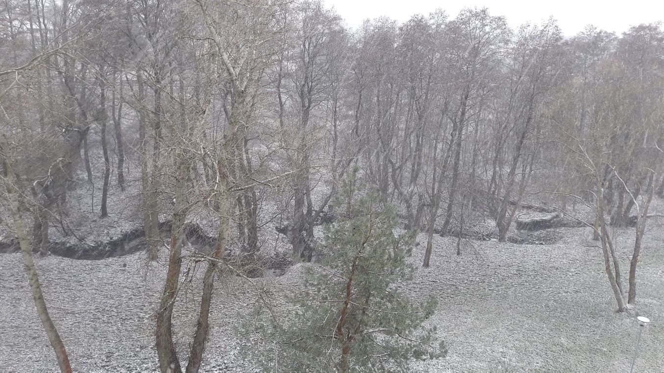 deluxe double room | view from room