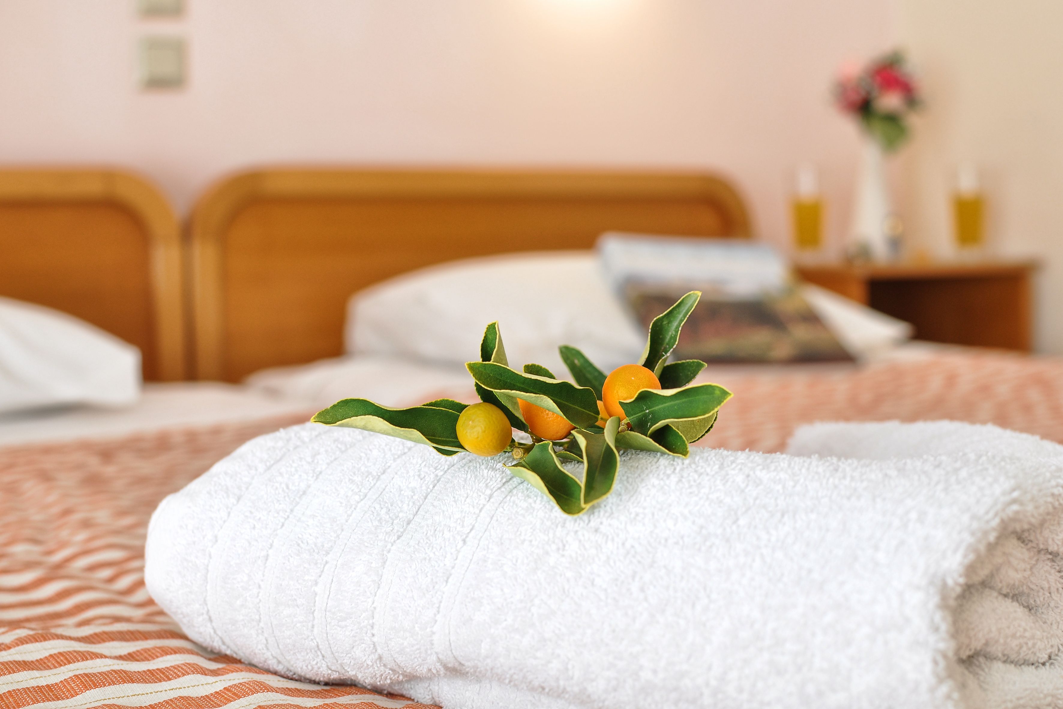 Photo - Lido Sofia Holidays