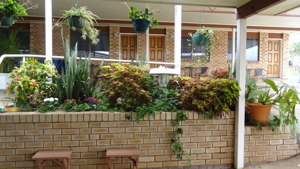 A brick wall with a variety of potted plants and flowers. There are two wooden benches in front of the wall. - Goomeri Motel (Goomeri)