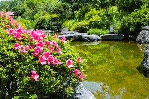 Jardim