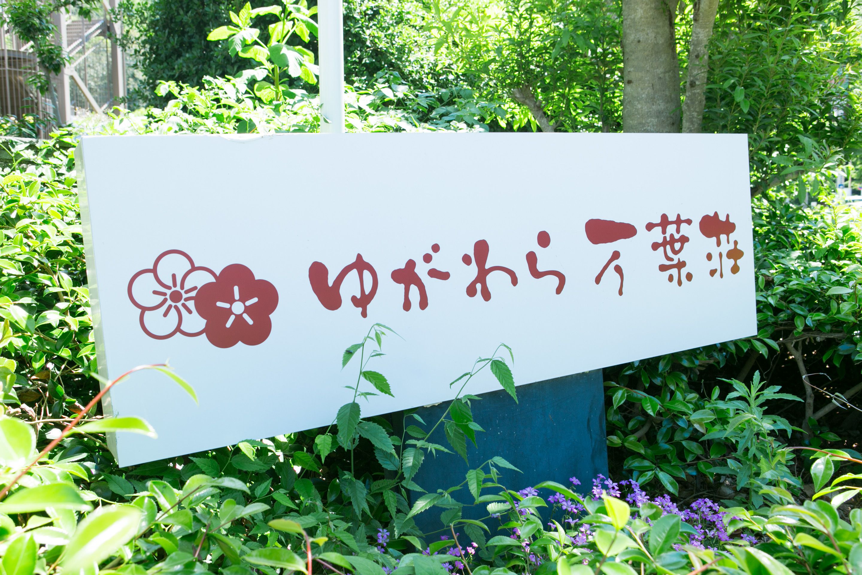 Een bord met Japanse tekens en een bloemsymbool.