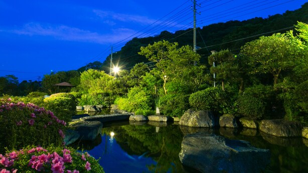 Taman