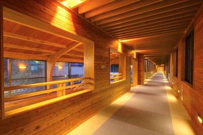 Conifer Iwabitsu
