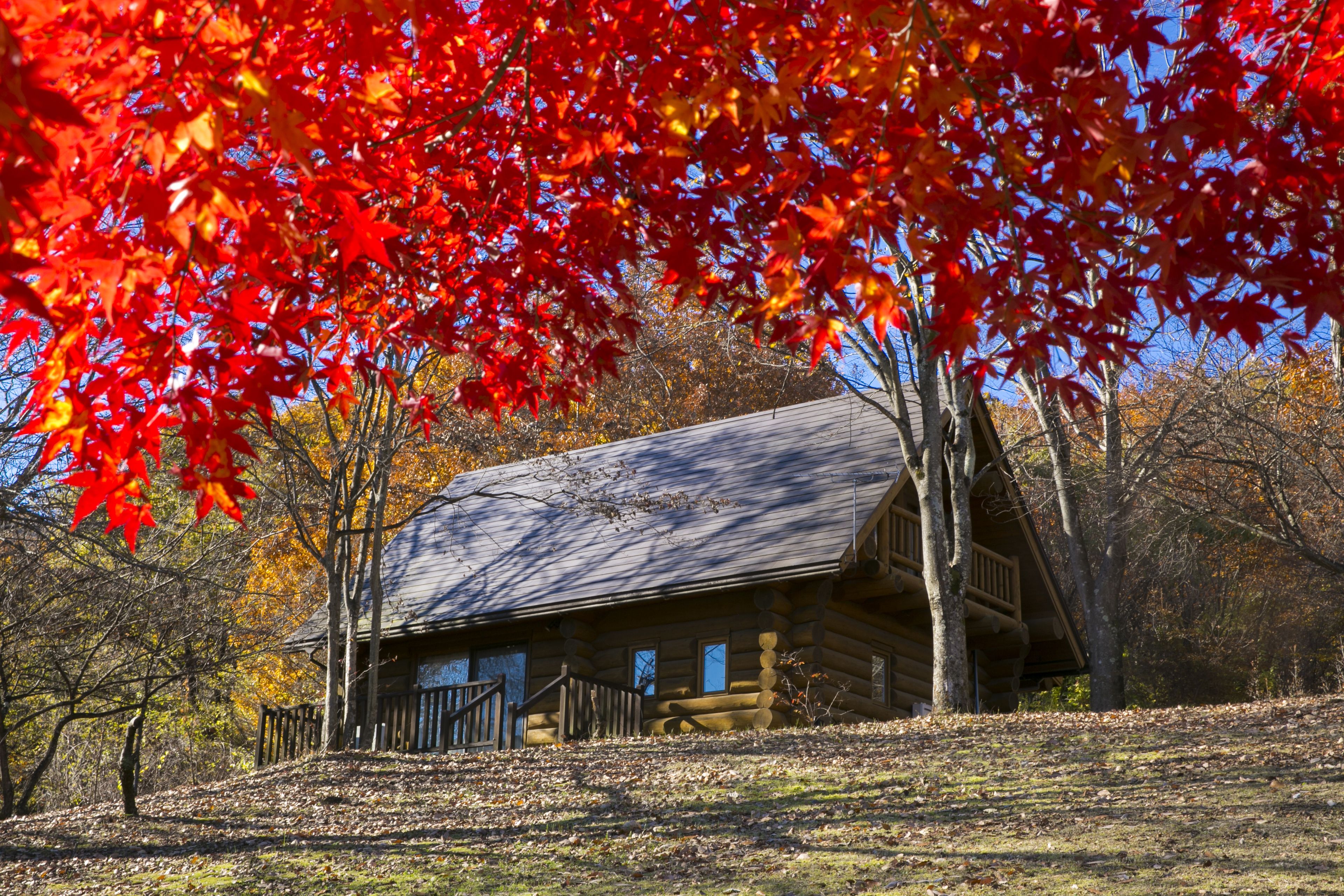 A log cabin with a porch and a wooden fence, surrounded by trees with autumn leaves.