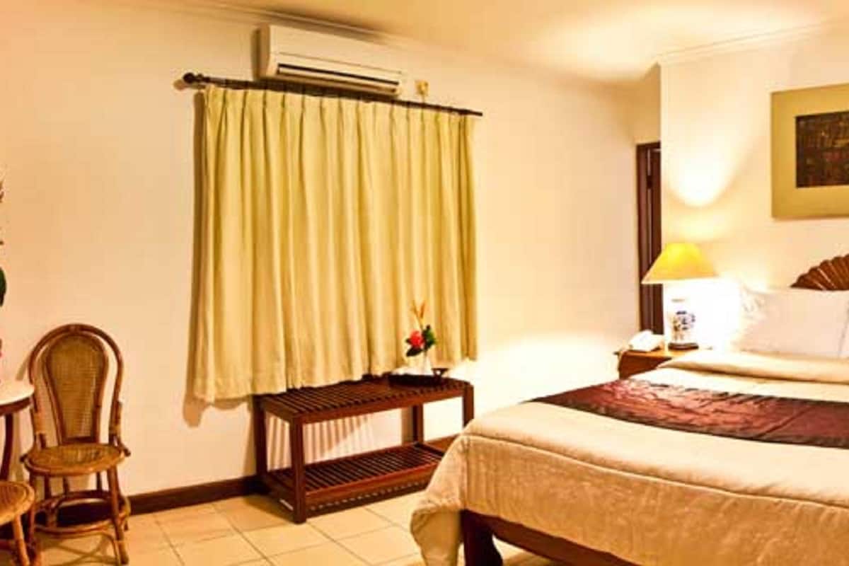 Ein Hotelzimmer mit einem Bett, einem Nachttisch mit Lampe, einem Sessel und einer Topfpflanze.