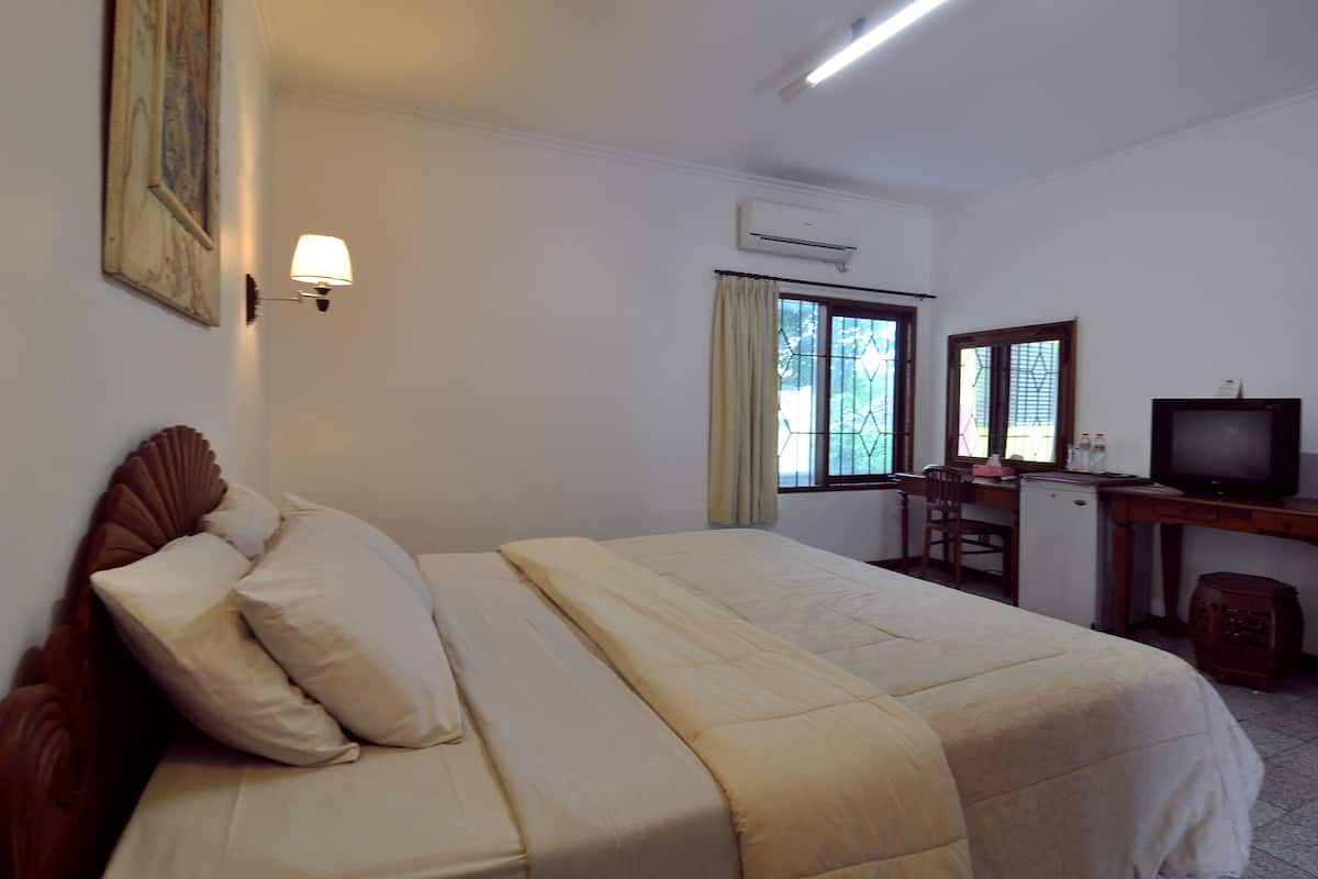 Superior Room | View from room