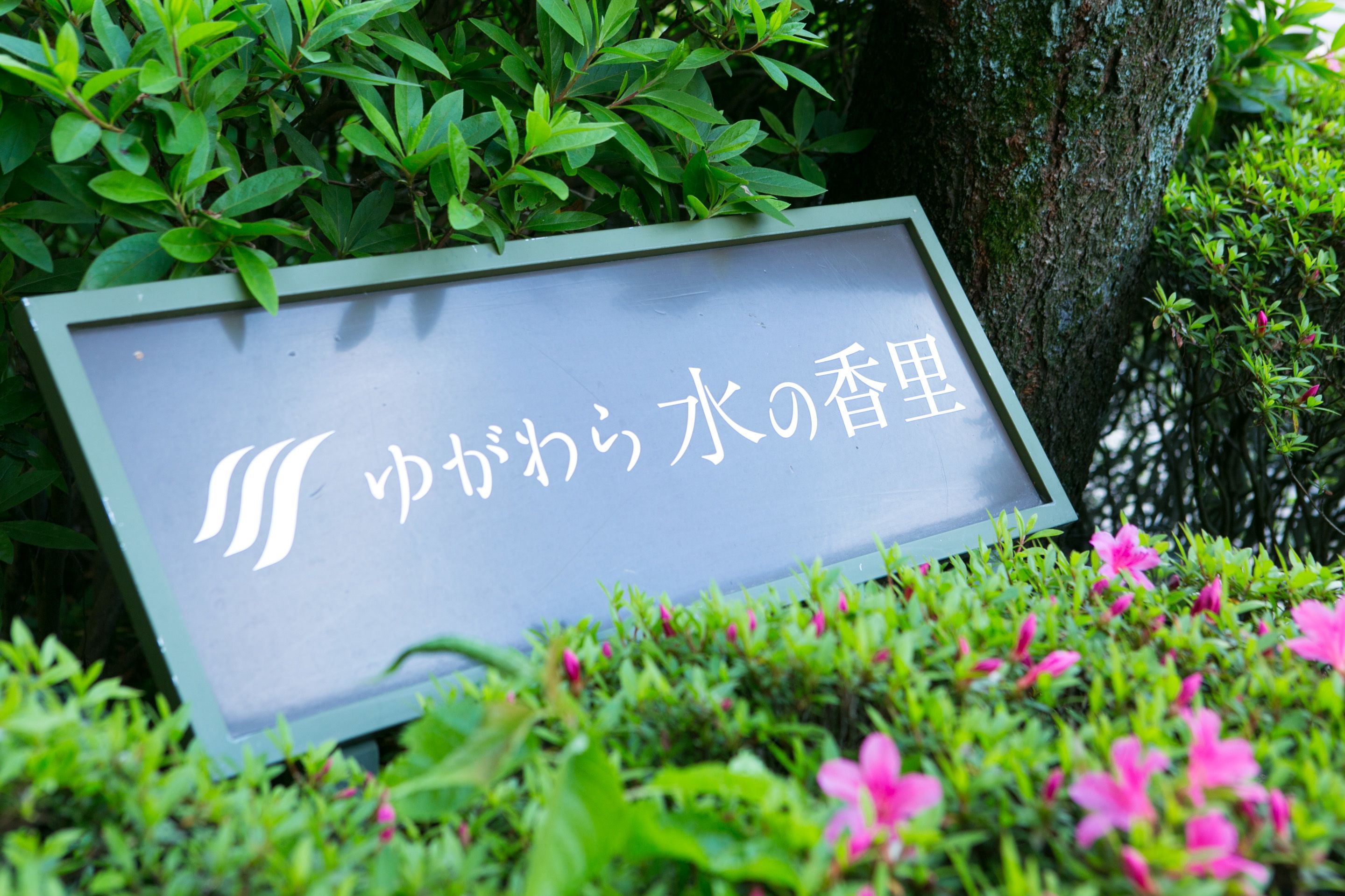 A sign with Japanese text in a garden setting.